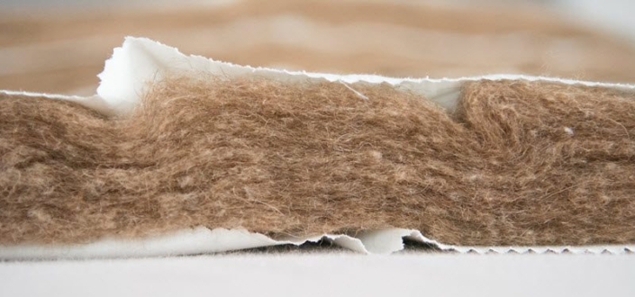 Querschnitt durch Kamelduvet mit Kamelwollvlies