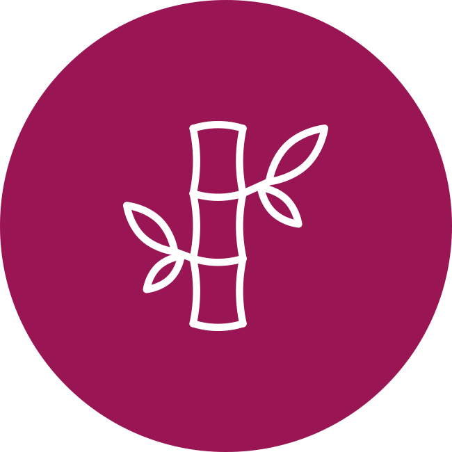 Bambus für Bettwaren