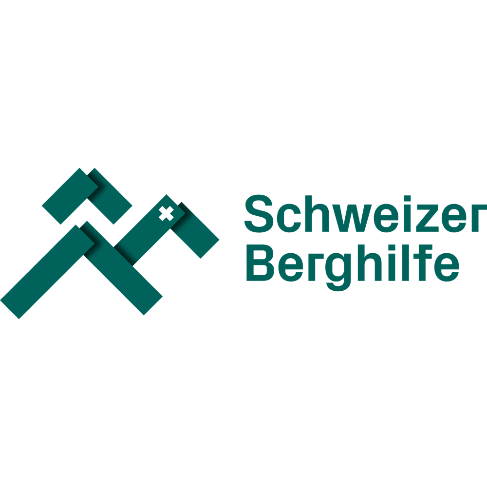 Berghilfe Logo Moosgrün